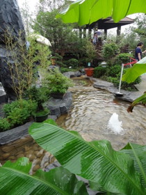 西安観光＠西安の世界園芸博覧会の庭園。南方の自然環境を再現してるらしい