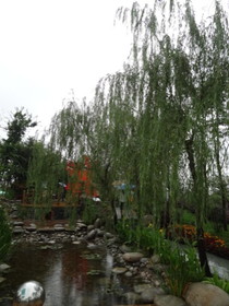 中国旅行記＠西安の世界園芸博覧会の重慶園を流れる川