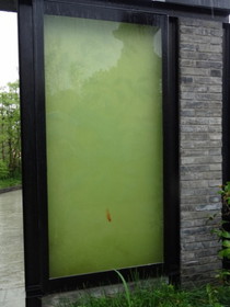 中国旅行記＠西安の世界園芸博覧会で見た金魚を閉じ込めているオブジェクト