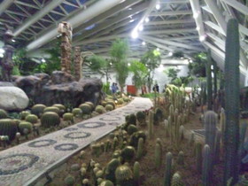 中国観光地・博物館写真館＠西安の世界園芸博覧会、自然館で見たサボテン