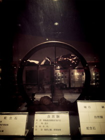 上海中医葯(中医・漢方薬)博物館